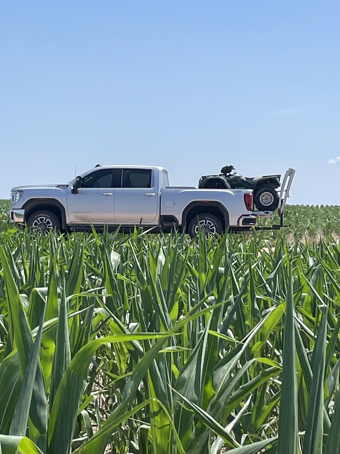 Truck with an ATV loaded, out in a field